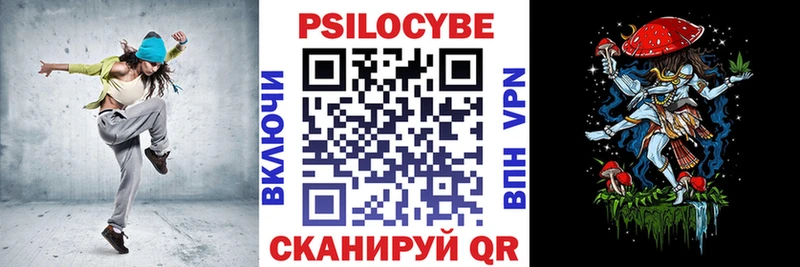 Псилоцибиновые грибы Psilocybe  Железногорск-Илимский 